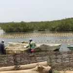 𝑽𝒐𝒚𝒂𝒈𝒆𝒔 𝒔𝒖𝒓 𝒎𝒆𝒔𝒖𝒓𝒆