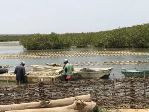 𝑽𝒐𝒚𝒂𝒈𝒆𝒔 𝒔𝒖𝒓 𝒎𝒆𝒔𝒖𝒓𝒆